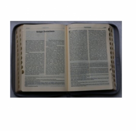 Biblia pierwszego Kościoła z paginatorami szara